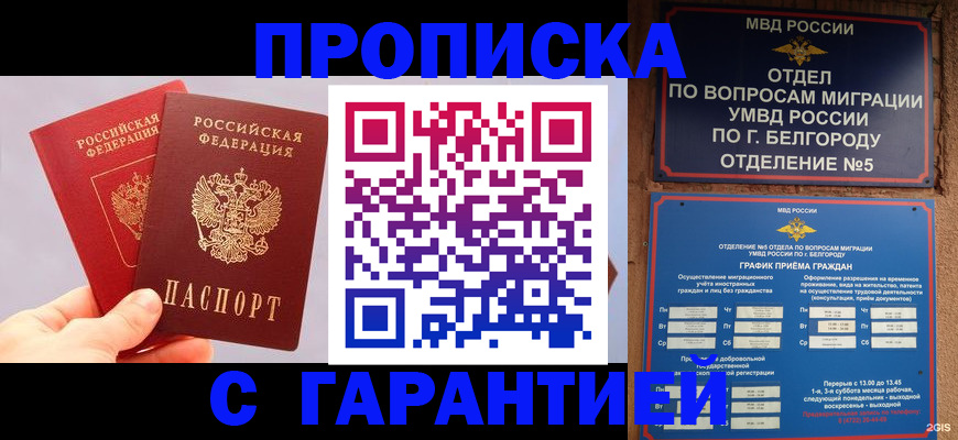 прописка 2025 в Пестово